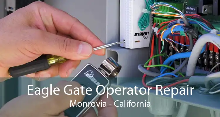 Eagle Gate Operator Repair Monrovia - California